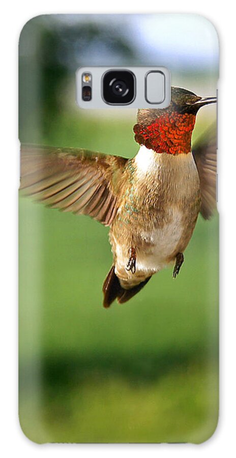 Vertical Galaxy Case featuring the photograph Grand Display by Bill Pevlor