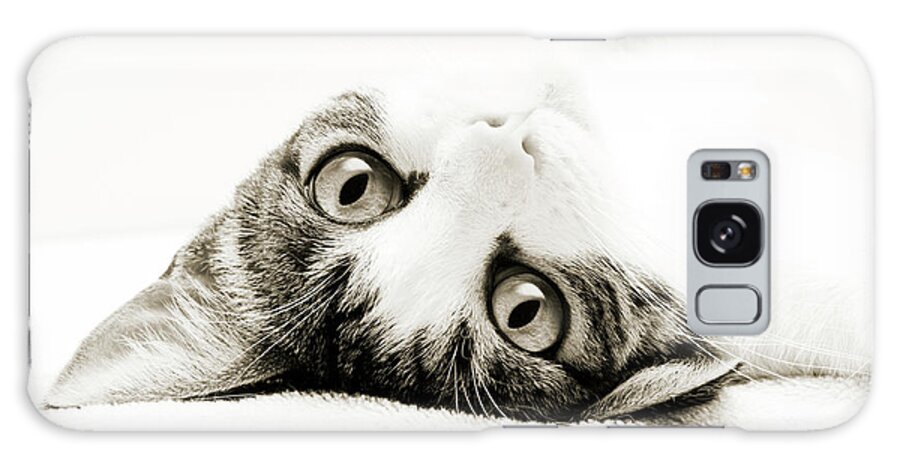 Cat Galaxy Case featuring the photograph Grand Kitty Cuteness BW by Andee Design