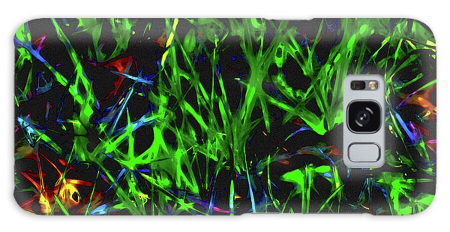 Abstract Galaxy Case featuring the photograph Grass and Lattice by Gina O'Brien
