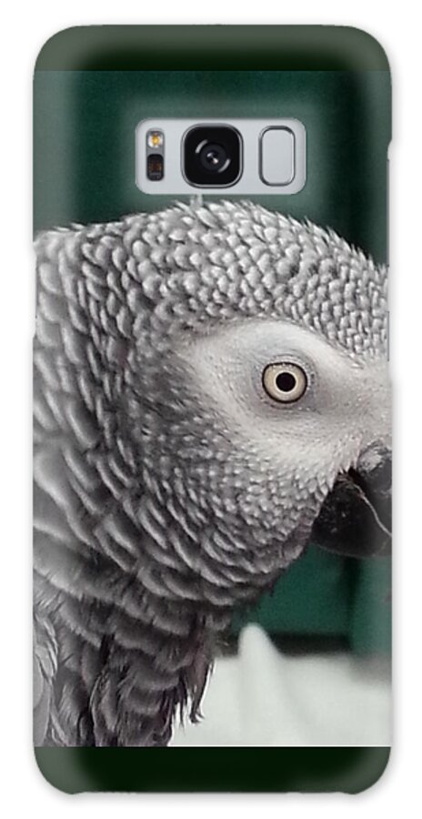 Parrot Galaxy Case featuring the photograph Gray Parrot by Maria Aduke Alabi