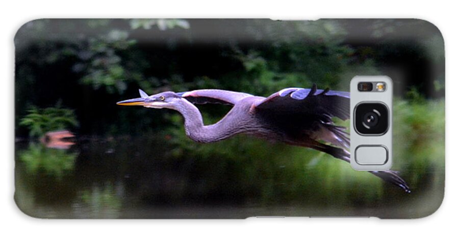 Great Blue Heron Galaxy Case featuring the photograph Graceful by Colleen Phaedra