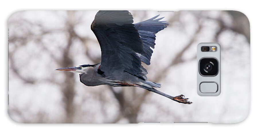 Great Blue Heron In Flight Galaxy S8 Case featuring the photograph Great Blue Heron in Flight by Alyce Taylor