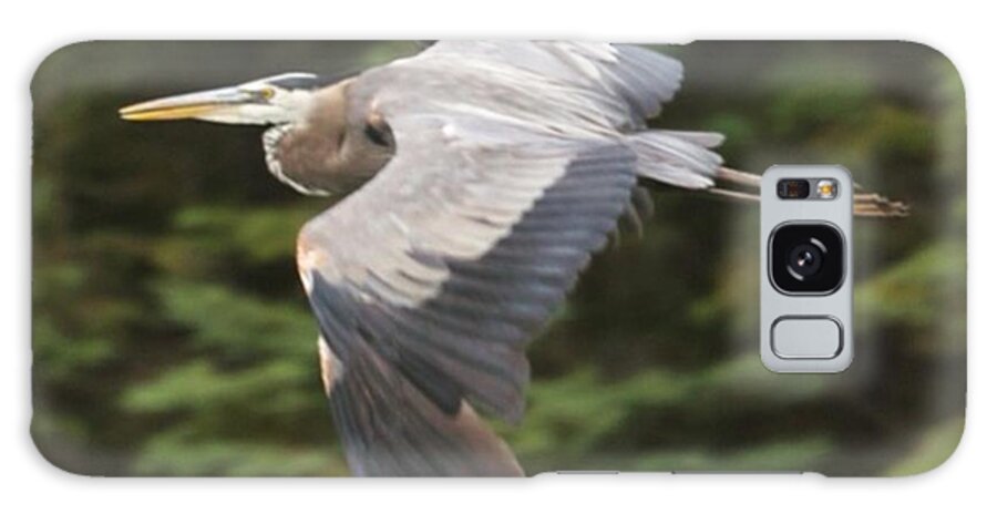 Wildlife Galaxy Case featuring the photograph Great Blue Heron In Flight. They Look by Hermes Fine Art