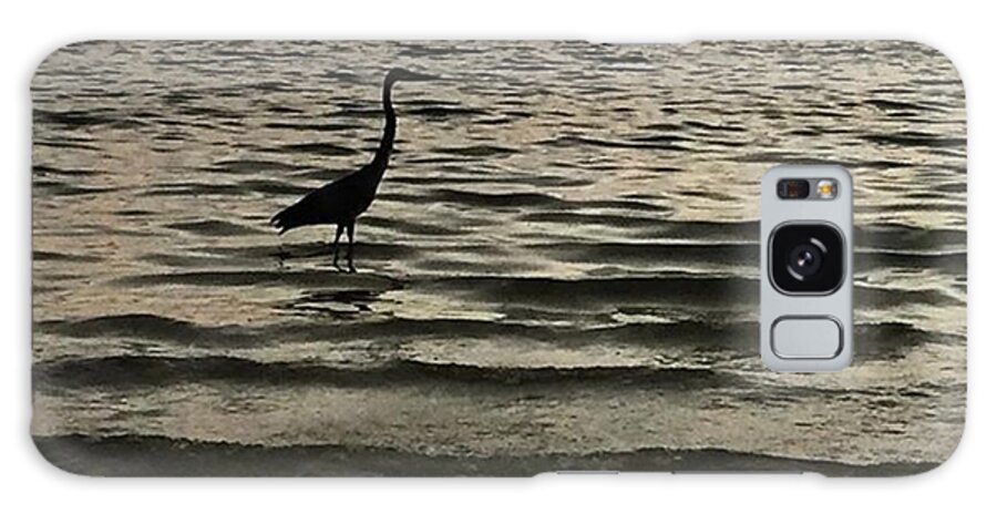 Bridge Galaxy Case featuring the photograph Great Blue Heron With The Sunshine by Greg Royce