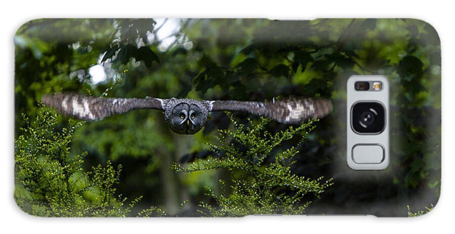 Great Grey Owl Galaxy Case featuring the photograph Great Grey Owl in Flight by Andy Myatt