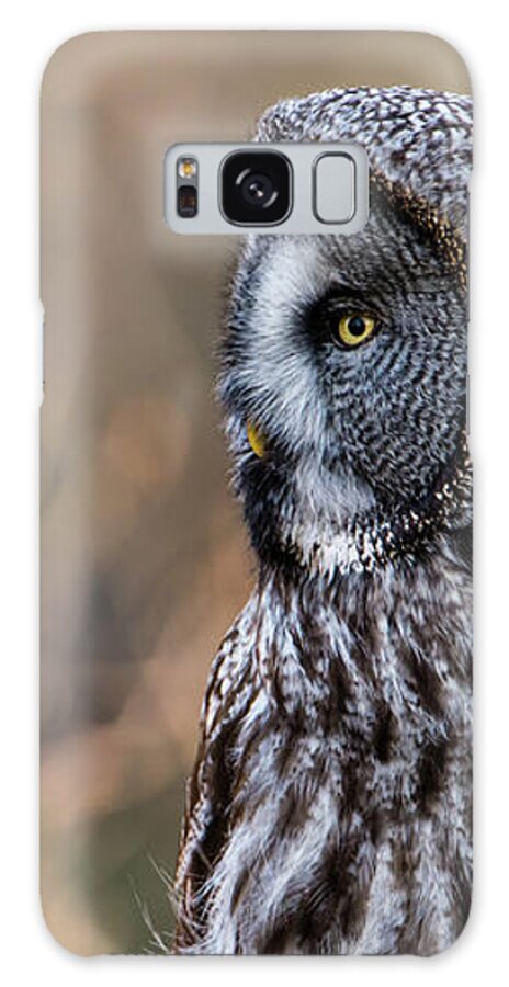 Great Greys Profile Galaxy Case featuring the photograph Great Grey's Profile by Torbjorn Swenelius