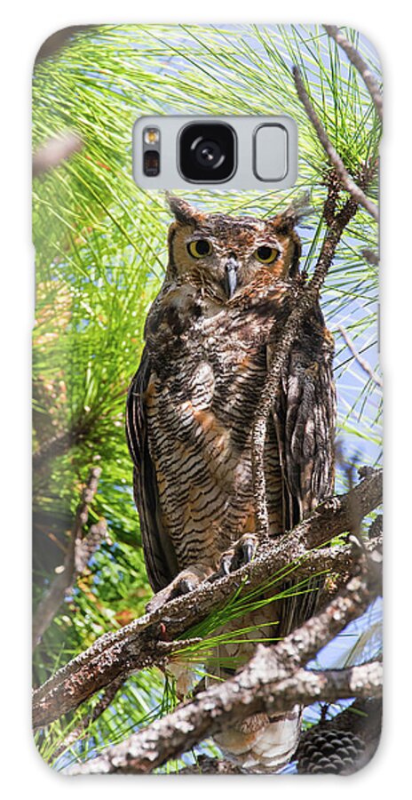 Nature Galaxy Case featuring the photograph Great Horned Owl by Arthur Dodd