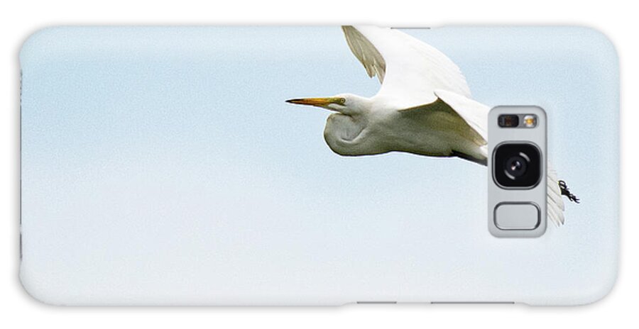 Ft Delaware Galaxy Case featuring the photograph Great White Egret #1 by Gary E Snyder