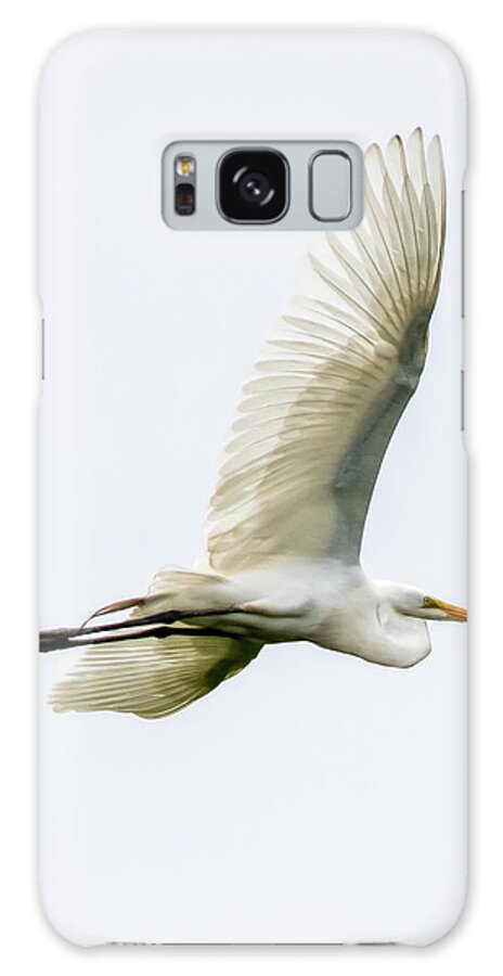Ft Delaware Galaxy Case featuring the photograph Great White Egret #3 by Gary E Snyder