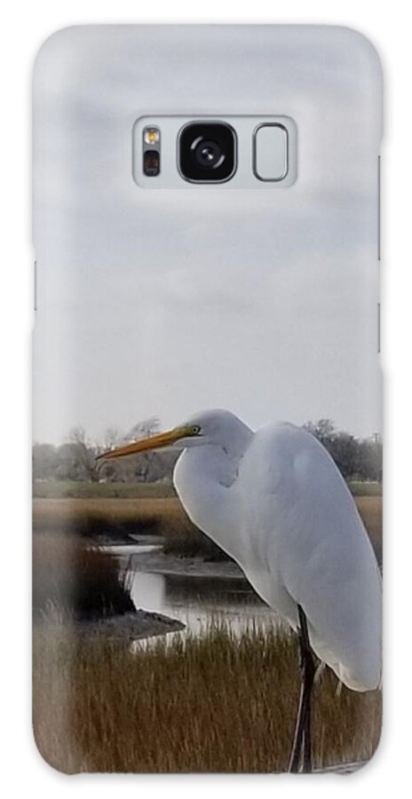 Great Egret Galaxy Case featuring the photograph Great White Egret by Amy Regenbogen
