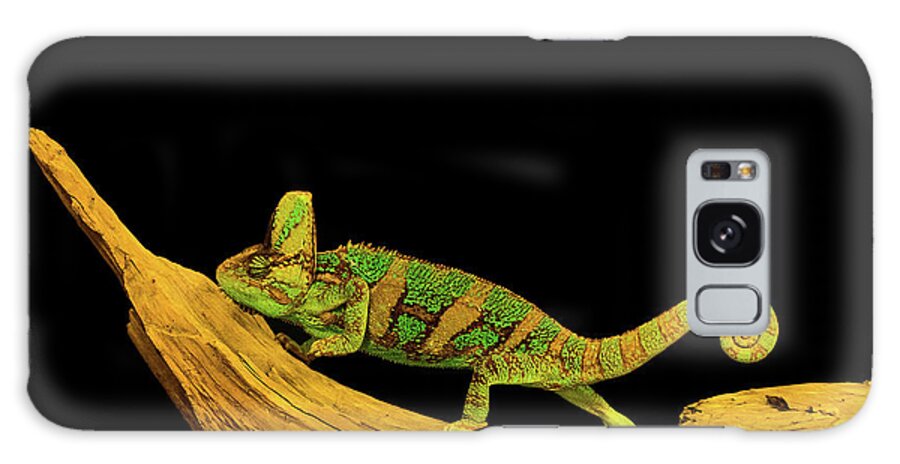 Background Galaxy S8 Case featuring the photograph Green Chameleon by Les Palenik