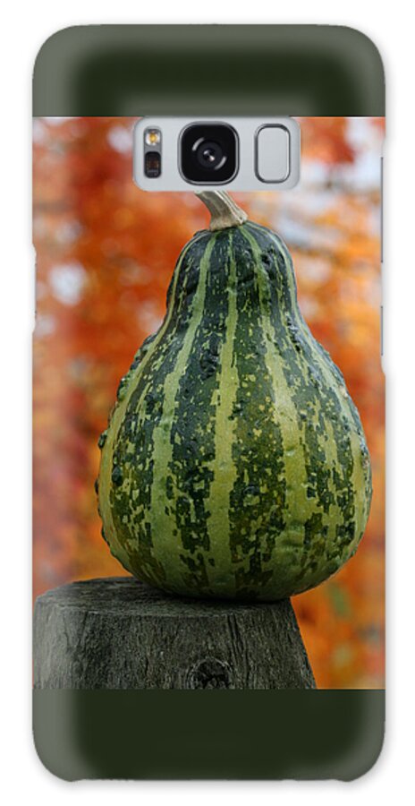 Gourd Galaxy Case featuring the photograph Green Gourd Balance by Tammy Pool