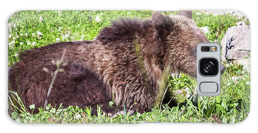 Grass Galaxy Case featuring the photograph Grizzly Cub by Brandon Bonafede