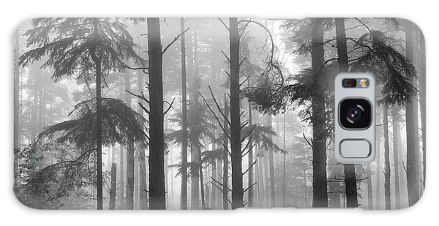 Forest Galaxy S8 Case featuring the photograph Half Century by Mary Amerman
