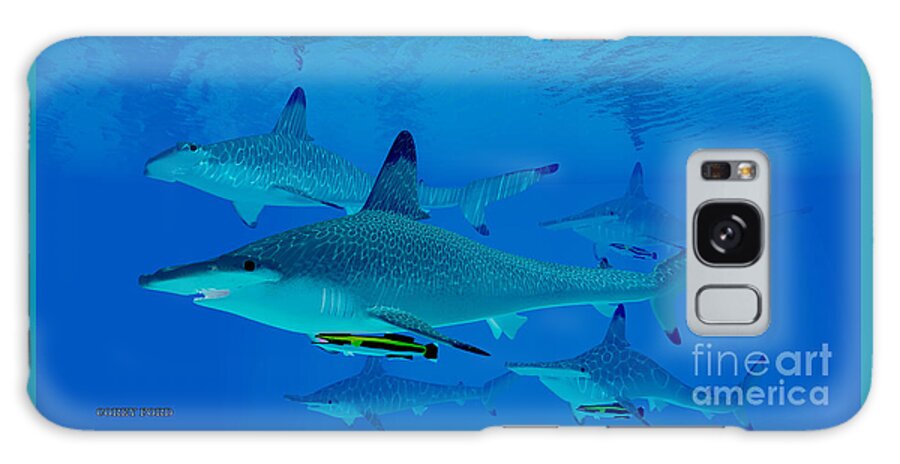 Hammerhead Shark Galaxy Case featuring the painting Hammerhead Sharks by Corey Ford