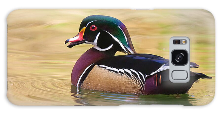 Wood Duck Galaxy Case featuring the photograph Handsome Wood Duck by Ram Vasudev