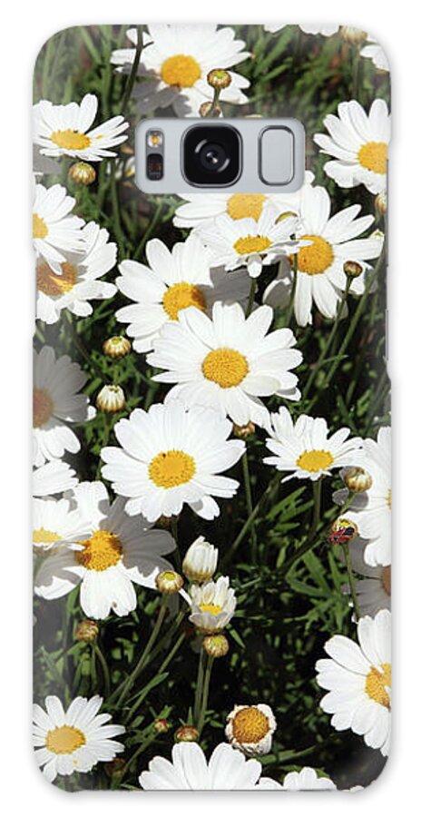 Daisy Galaxy Case featuring the mixed media Happy Daisies- Photography by Linda Woods by Linda Woods