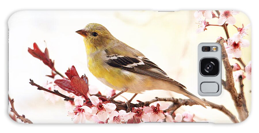 Birds Galaxy Case featuring the photograph Happy Goldfinch by Trina Ansel