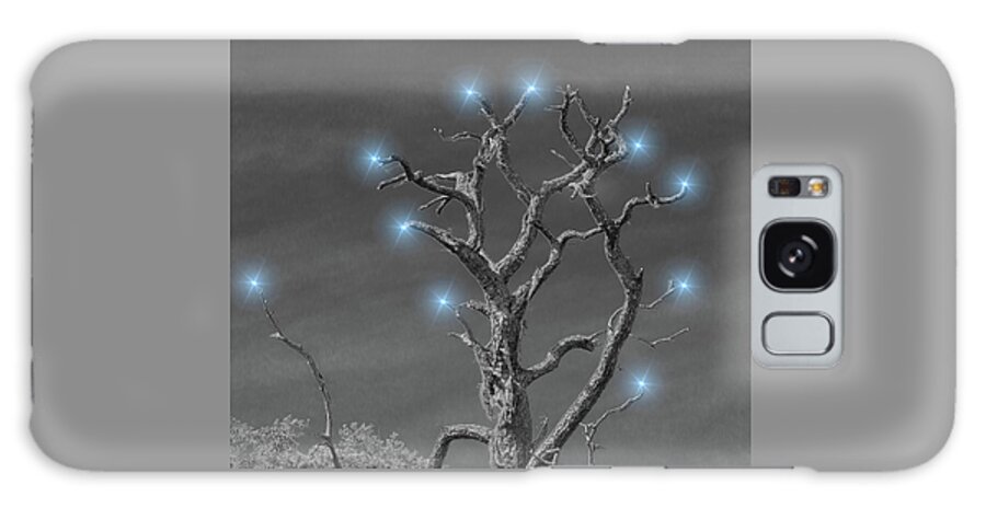 Tree Trunk Galaxy Case featuring the photograph Happy Holidays by Richard Goldman