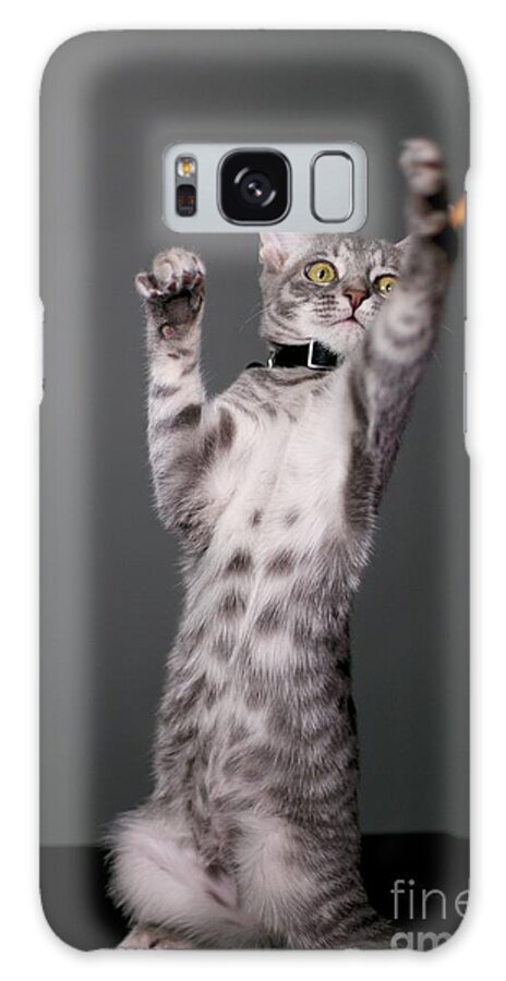 Digital Photography Galaxy S8 Case featuring the photograph Happy Kitty by Afrodita Ellerman