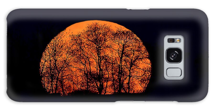 Moon Galaxy Case featuring the photograph Harvest Moon Rising by William Jobes