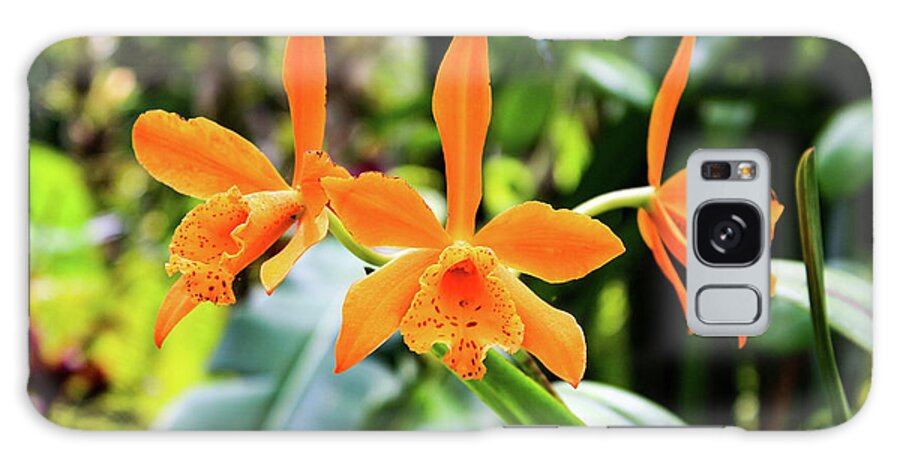 Orchid Galaxy Case featuring the photograph Hawaii Orchid 2 by Matt Sexton