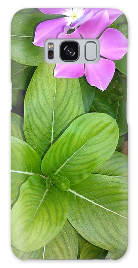 Violet Galaxy Case featuring the photograph Hawaiian Flower by James Adger