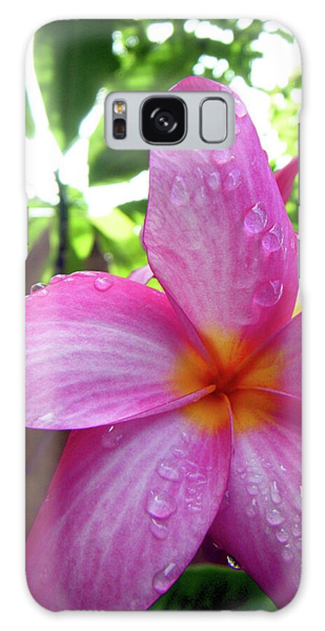 Pinnk Galaxy S8 Case featuring the photograph Hawaiian Plumeria by Adam Johnson