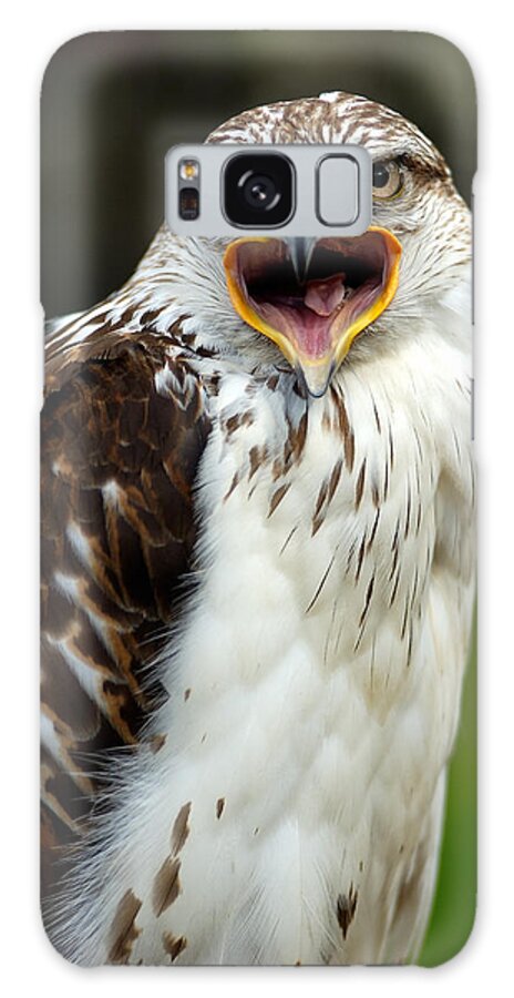 Hawk Galaxy Case featuring the photograph Hawk by Doug Gibbons