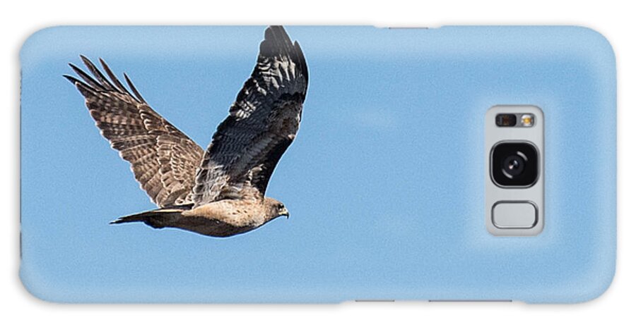 Nature Galaxy Case featuring the photograph Hawk in Flight by Wendy Carrington