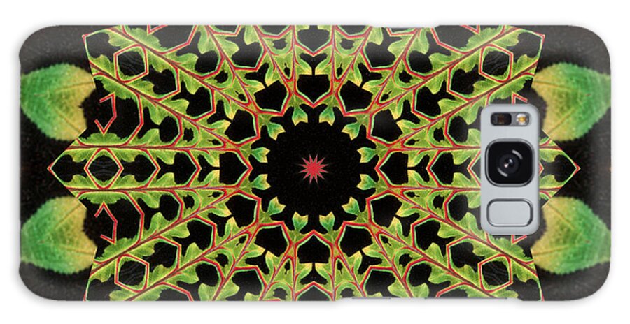 Mandalas Galaxy S8 Case featuring the photograph Healing Mandala 13 by Bell And Todd