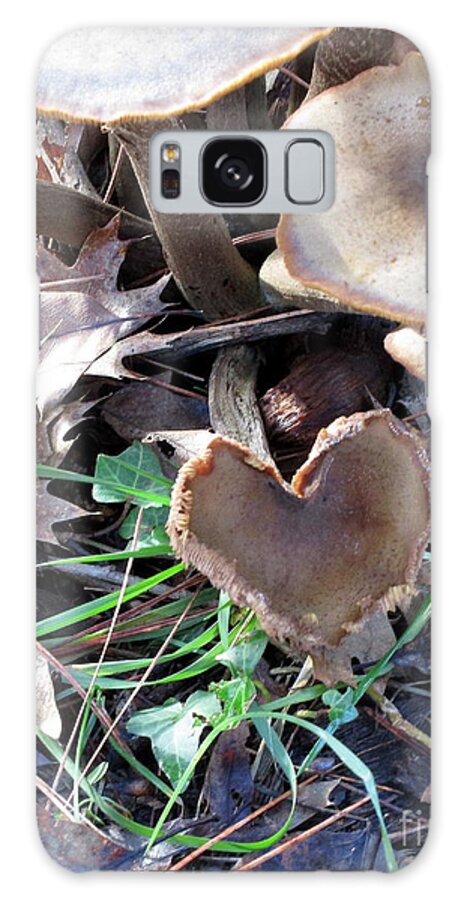 Heart Galaxy Case featuring the photograph Heart of the Matter mushroom style by Marie Neder