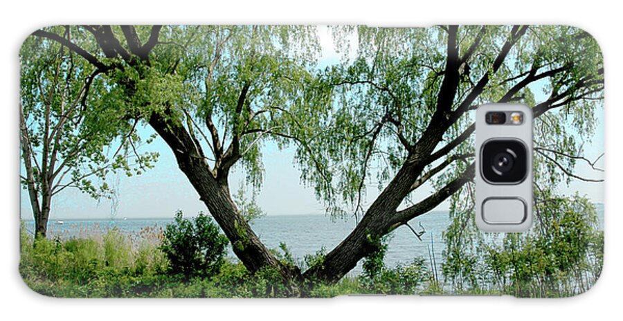 Usa Galaxy Case featuring the photograph Heart Tree on Lake Saint Clair by LeeAnn McLaneGoetz McLaneGoetzStudioLLCcom
