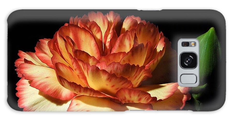 Heavenly Galaxy S8 Case featuring the photograph Heavenly Outlined Carnation Flower by Chad and Stacey Hall
