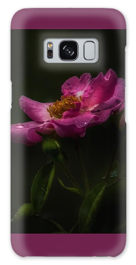 Flower Galaxy Case featuring the photograph Heirloom by Brenda Wilcox aka Wildeyed n Wicked