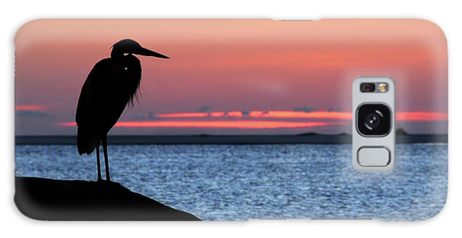 Heron Galaxy Case featuring the photograph Heron at Datbreak by Ted Keller