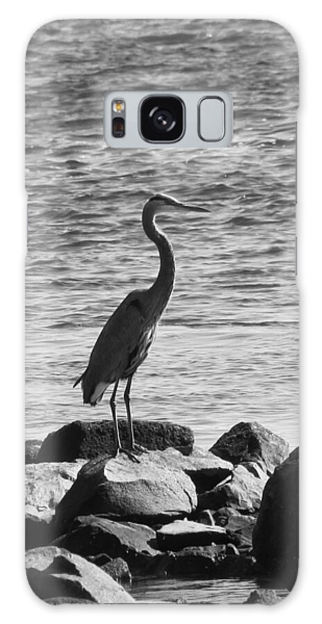 Wildlife Galaxy Case featuring the photograph Heron on the Rocks by William Selander