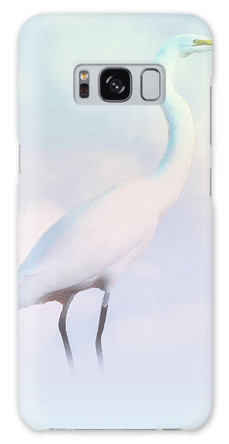 Heron Galaxy Case featuring the photograph Heron or Egret Stance by Joseph Hollingsworth