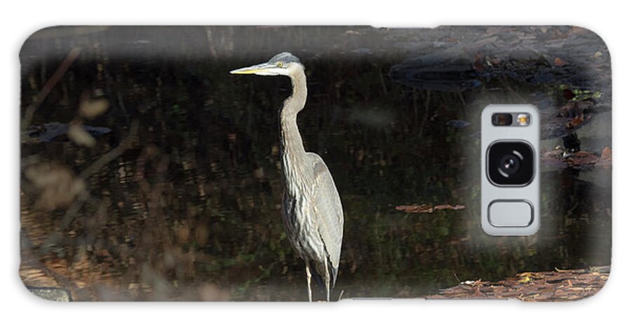 Birds Galaxy Case featuring the photograph Heron by Paul Ross