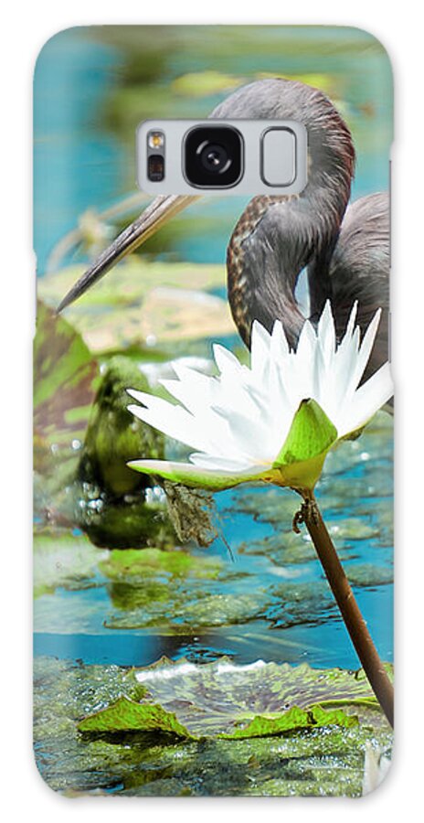 Birds Galaxy Case featuring the photograph Heron with Water Lillies by Judy Kay