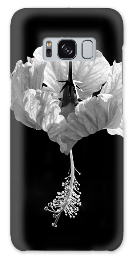 Black Galaxy S8 Case featuring the photograph Hibiscus as Art 2 by Hitendra SINKAR