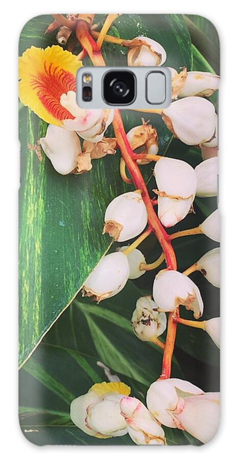 Flowers Galaxy Case featuring the photograph Hidden behind a stop sign by Thomas Hamm