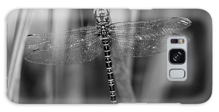 Dragonfly Galaxy Case featuring the photograph Hidden Dragon by Julie Adair