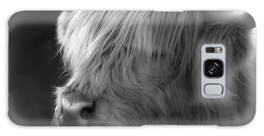 Highland Cattle Galaxy Case featuring the photograph Highland Cattle Two by Veronica Batterson