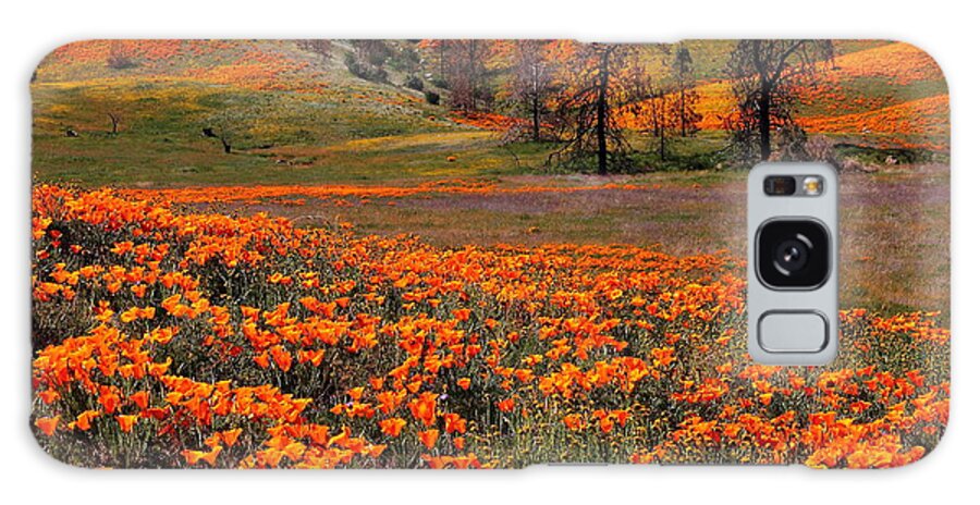Flower Galaxy Case featuring the photograph Hills of orange near Antelope Valley Poppy Preserve in California by Jetson Nguyen