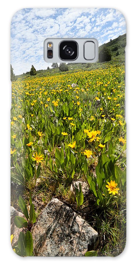 Flower Galaxy Case featuring the photograph Hills of Yellow Flowers by Brett Pelletier