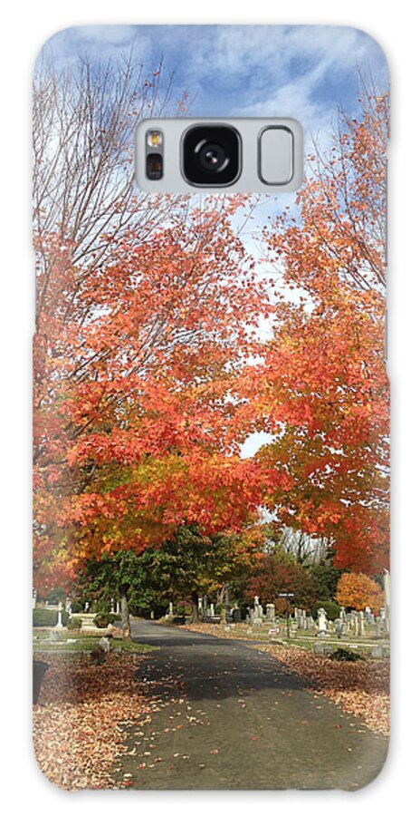 Hollywood Cemetery Galaxy Case featuring the photograph Hollywood Cemetery in the Fall by Will Felix