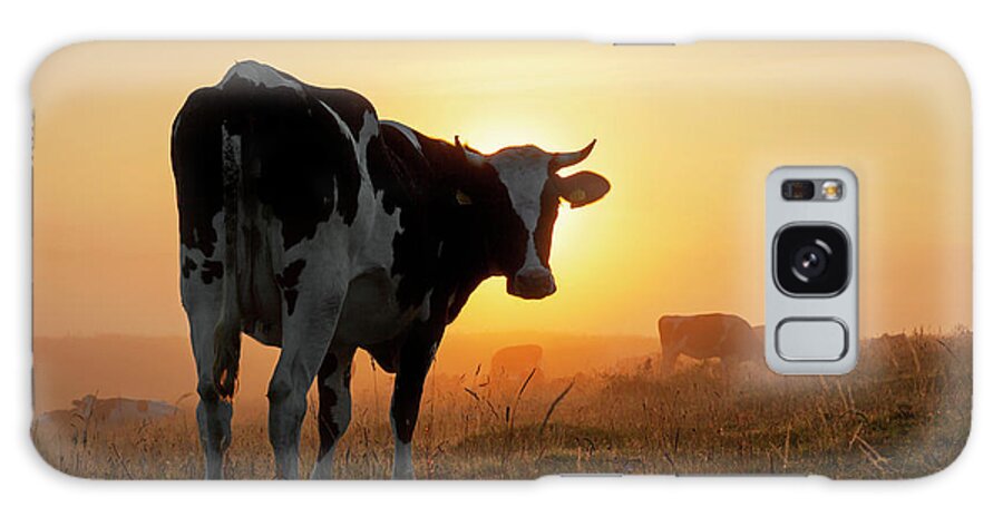 Holstein Friesian Galaxy Case featuring the photograph Holstein Friesian Cow by Arterra Picture Library