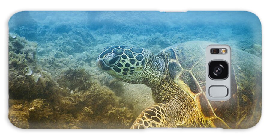 Turtle Galaxy Case featuring the photograph Honu Cruisin Hawaiian Sea Turtle Photobomb Selfie by Lawrence Knutsson