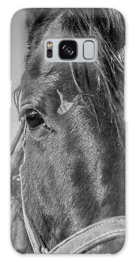Horse Galaxy Case featuring the photograph Horse Drama by Kristopher Schoenleber